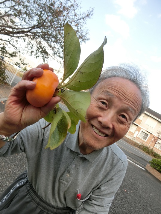 柿③