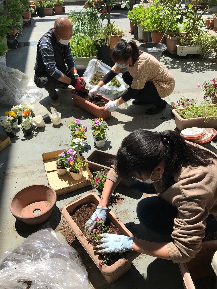 花植え