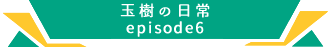 玉樹のわくわく