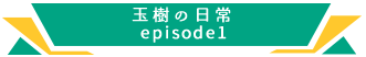 玉樹の日常