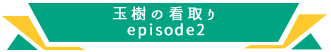 玉樹の看取り